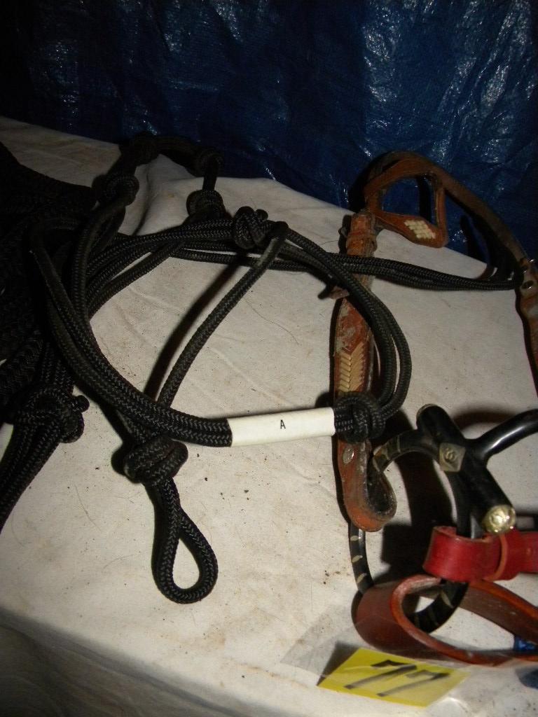 Bridle W/bit, Lead Strap, Rope Halter.