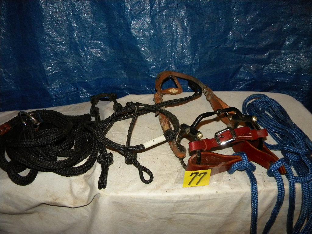 Bridle W/bit, Lead Strap, Rope Halter.