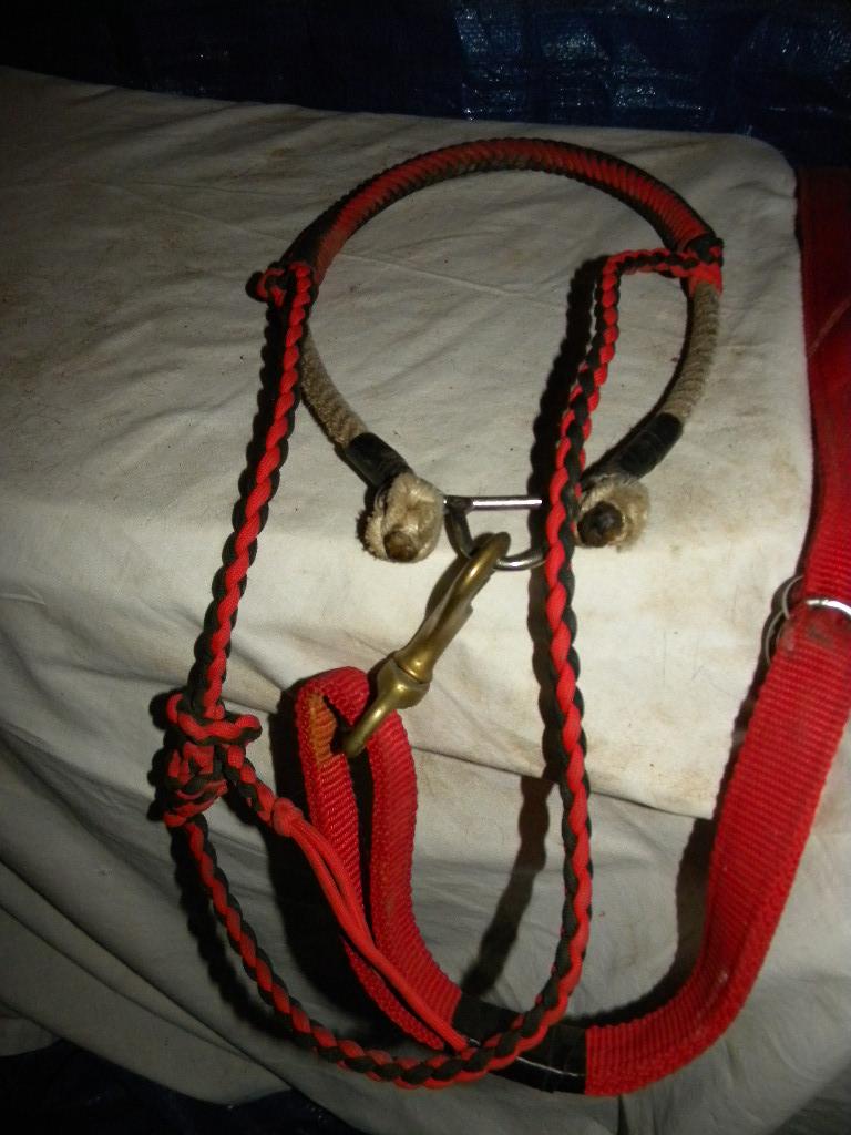 Halter W/bit, Lead Strap, Neck Hoop W/strap.