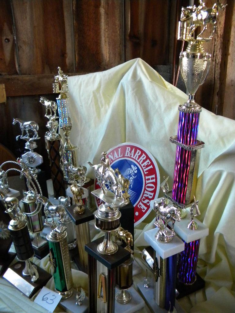 National Horse Association Barrell Trophies (15); 2 Bowling Trophies.