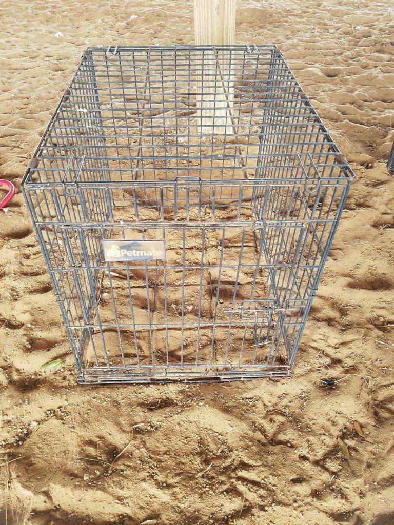 Petmate Pet Cage