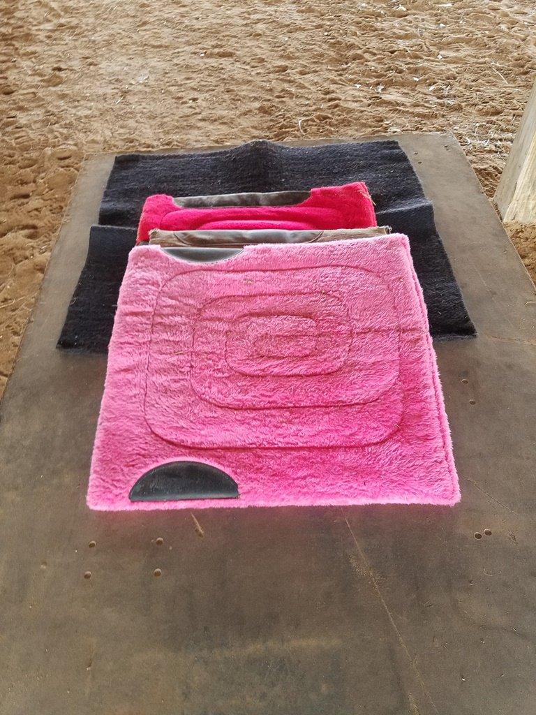 (4) Horse Saddle Pads