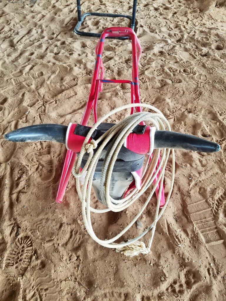 Roping Dummy W/ Steer Head & Rope