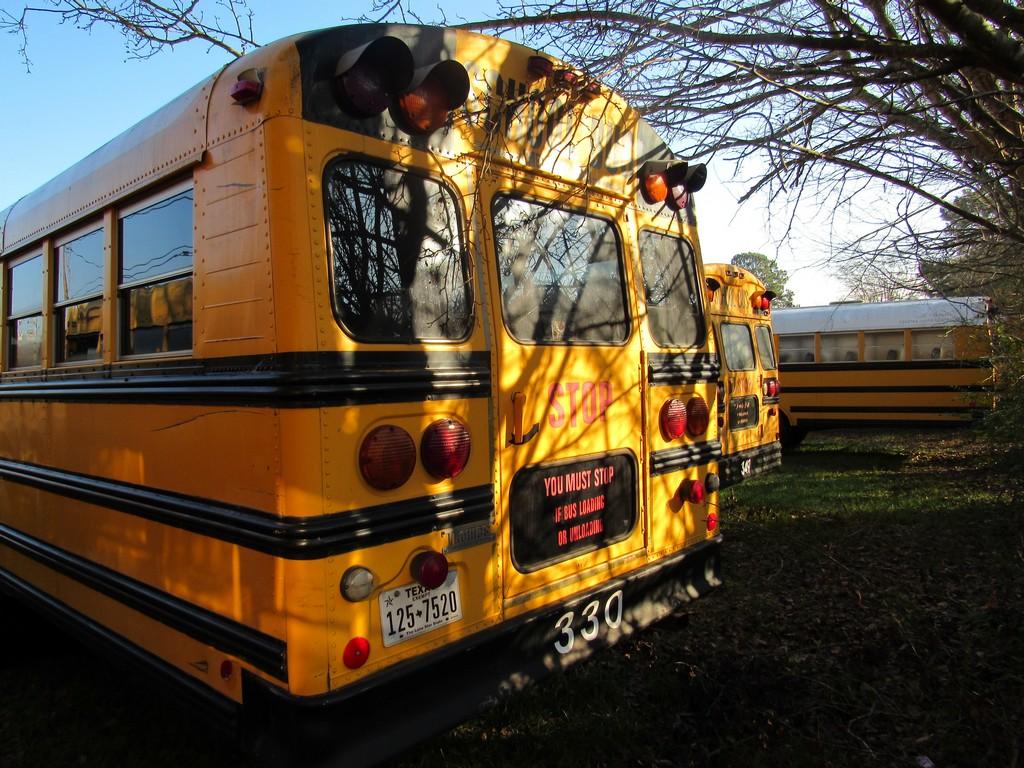 1996 Thomas Built by Navistar 3800