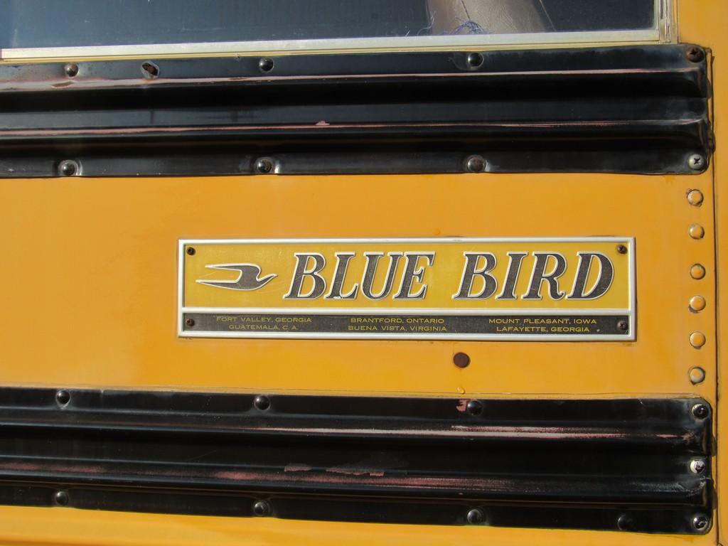 1990 Blue Bird