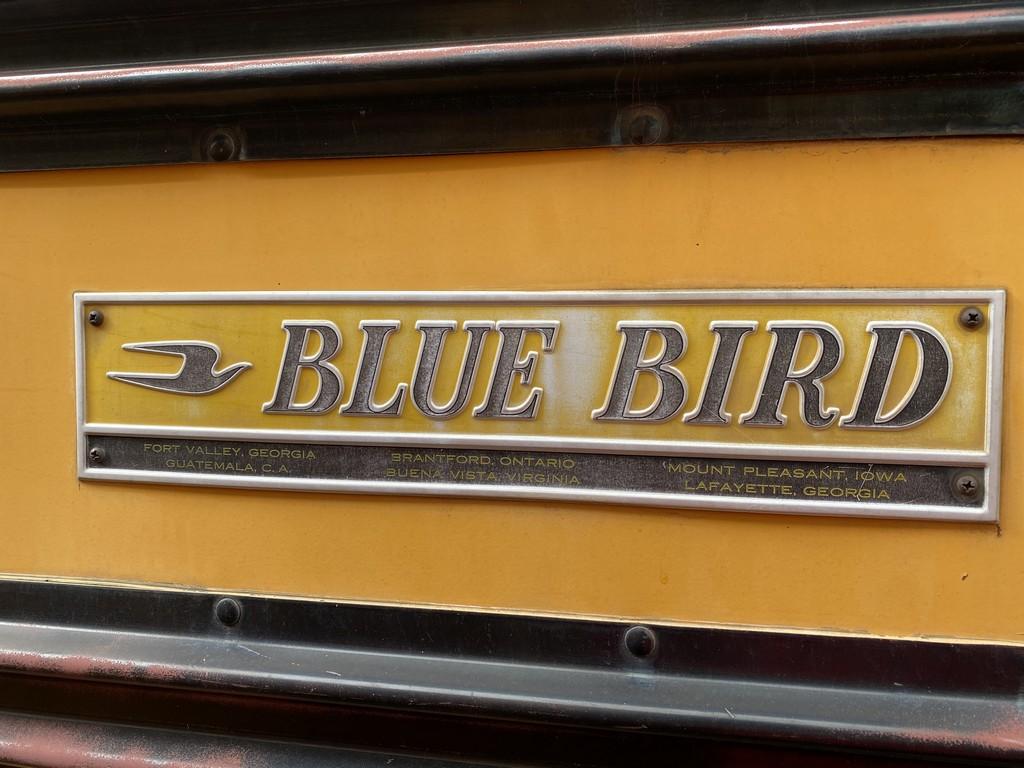 1990 Blue Bird