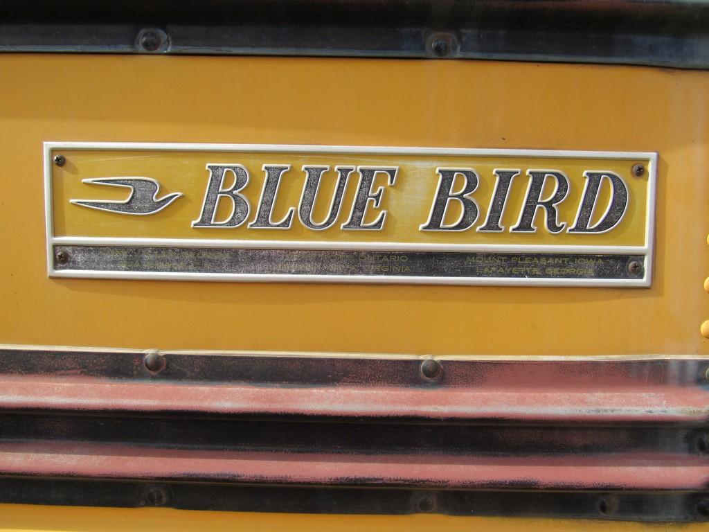 1988 Blue Bird S1700