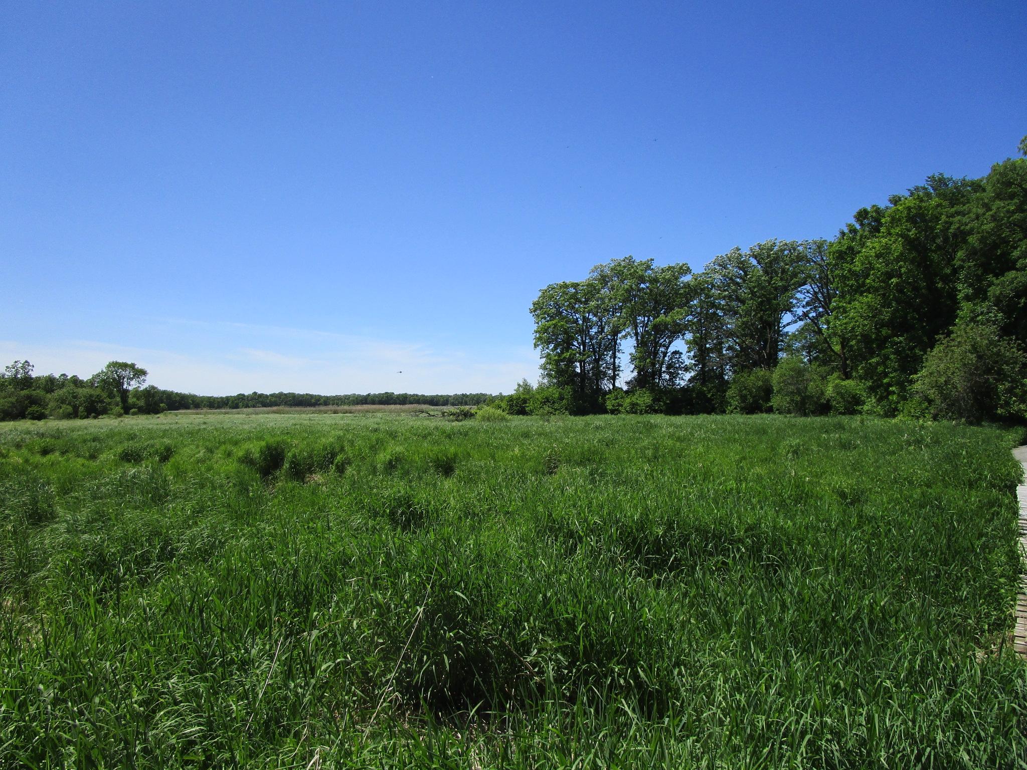 Becker County Recreational/Hunting Land