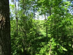 Becker County Recreational/Hunting Land