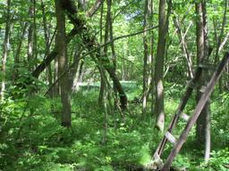 Becker County Recreational/Hunting Land