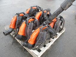Quantity of Echo Backpack Blowers