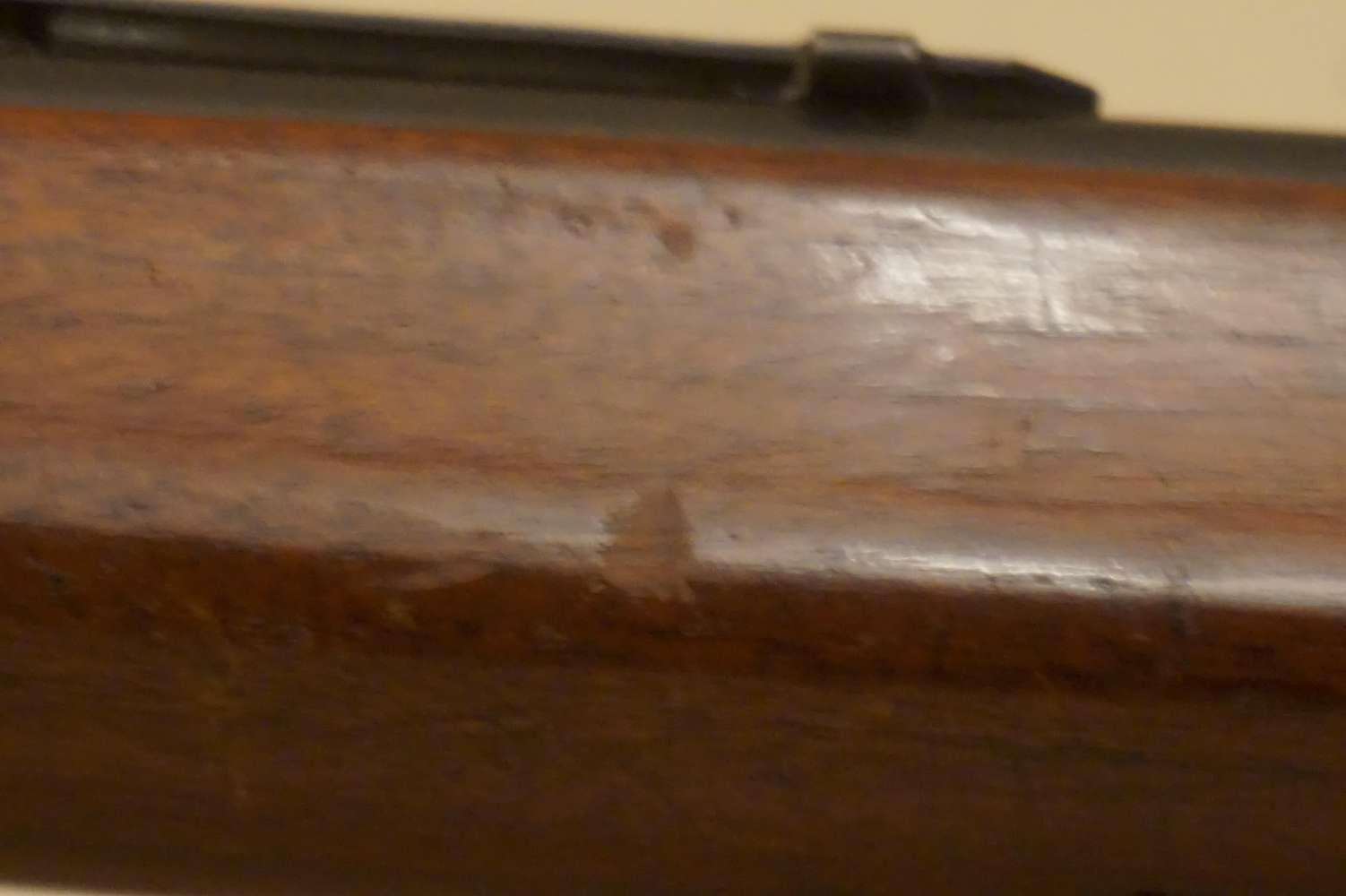 J. C. Higgins M. 31 .22 Semi-auto Rifle