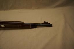 Remington Nylon 66 .22 Semi-auto Rifle