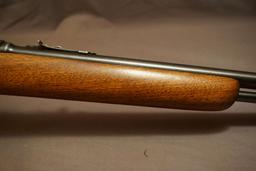 Winchester M. 77 .22 Semi-auto Rifle