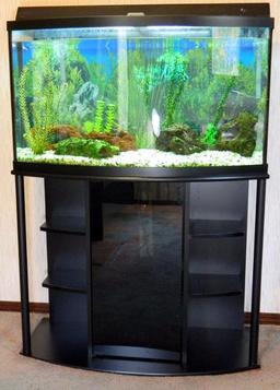 Fresh Water Aquarium with Stand, Large