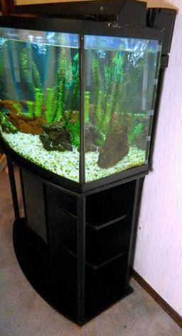 Fresh Water Aquarium with Stand, Large
