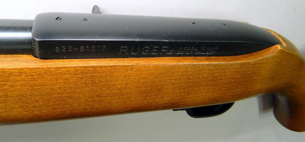 Ruger 10-22 .22 Semi-auto Rifle