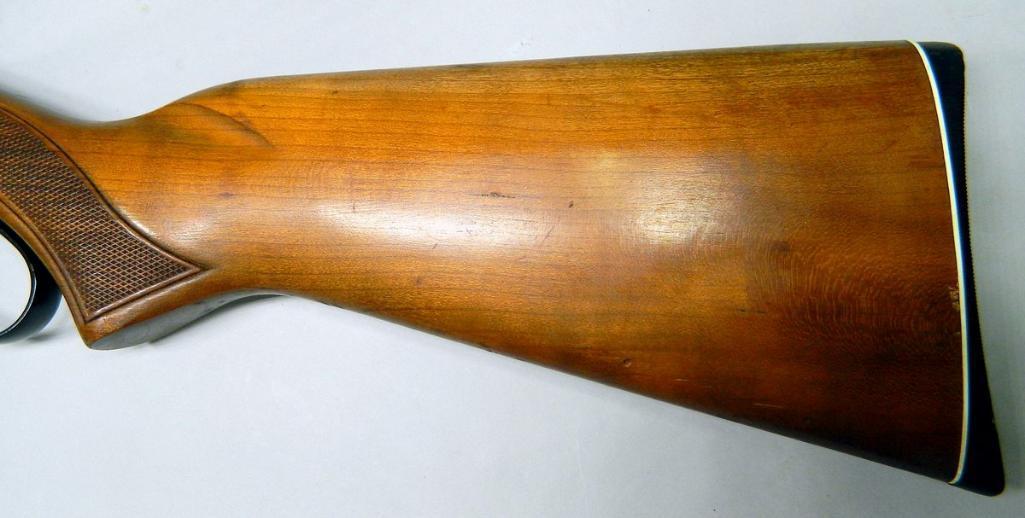 Winchester Model 250 .22LR Rifle