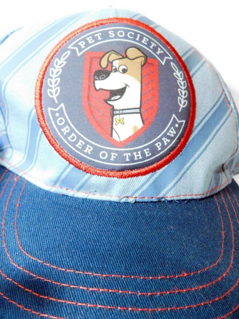 Licensed Children's Caps, 39 Units