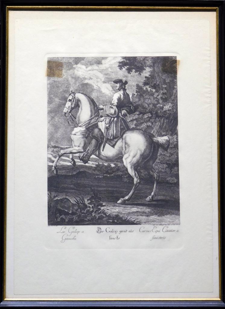 Grouping of Two Johann Elias Ridinger Horse with Rider Prints