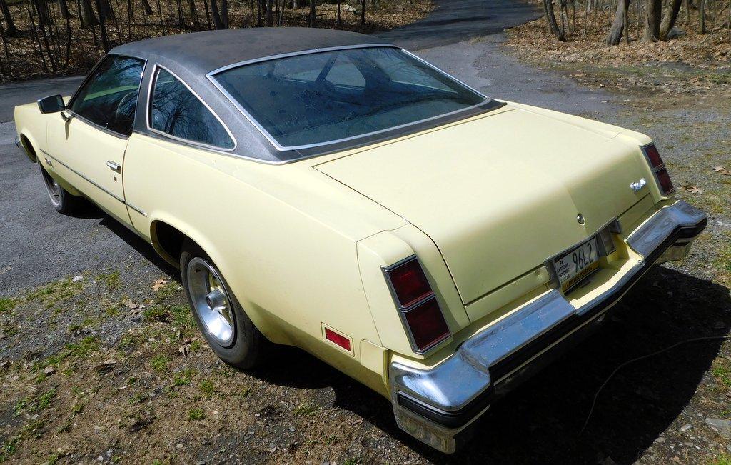 1976 Oldsmobile Cutlass Salon, Unrestored