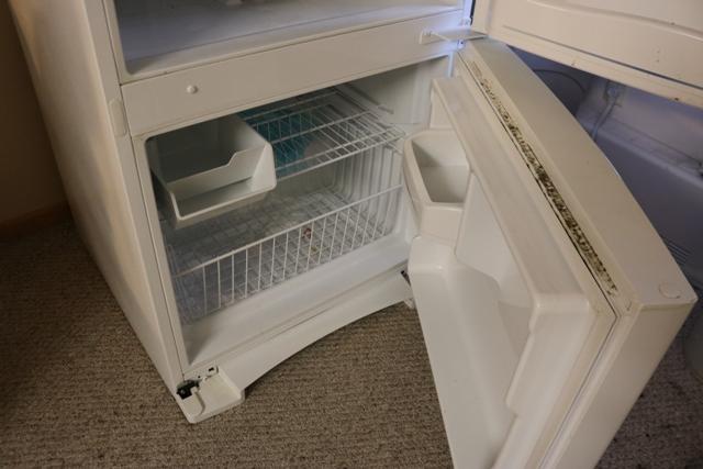 GE GBSCOHCXCRWW refrigerator - bottom freezer