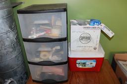 All to go - cooler, Ziploc bags, plastic organizer