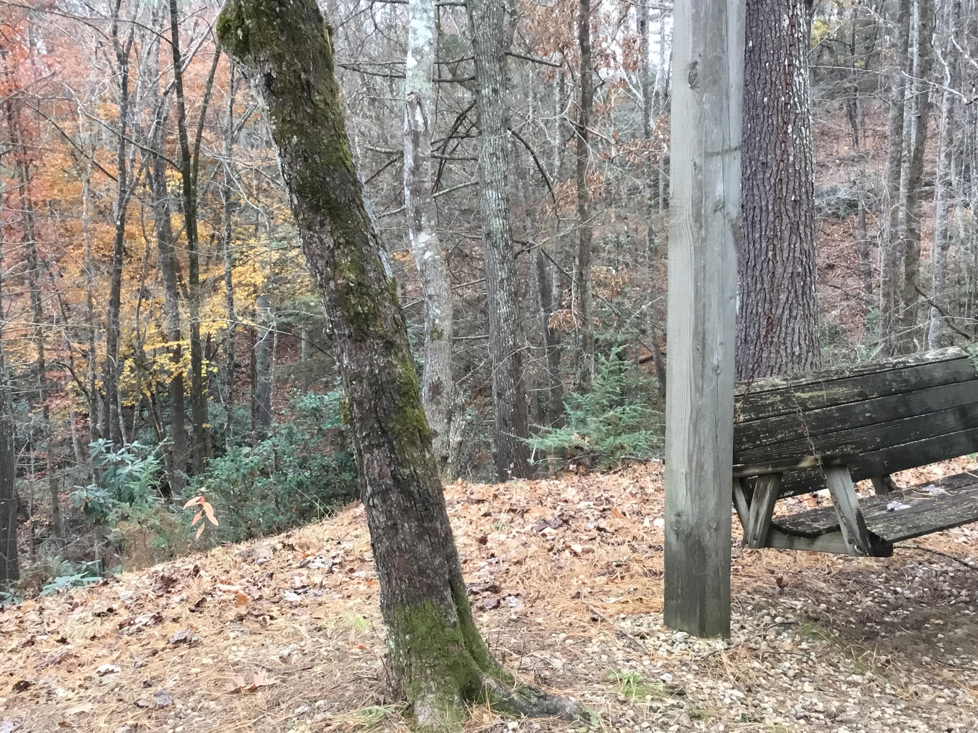 Morning Dove Cabin