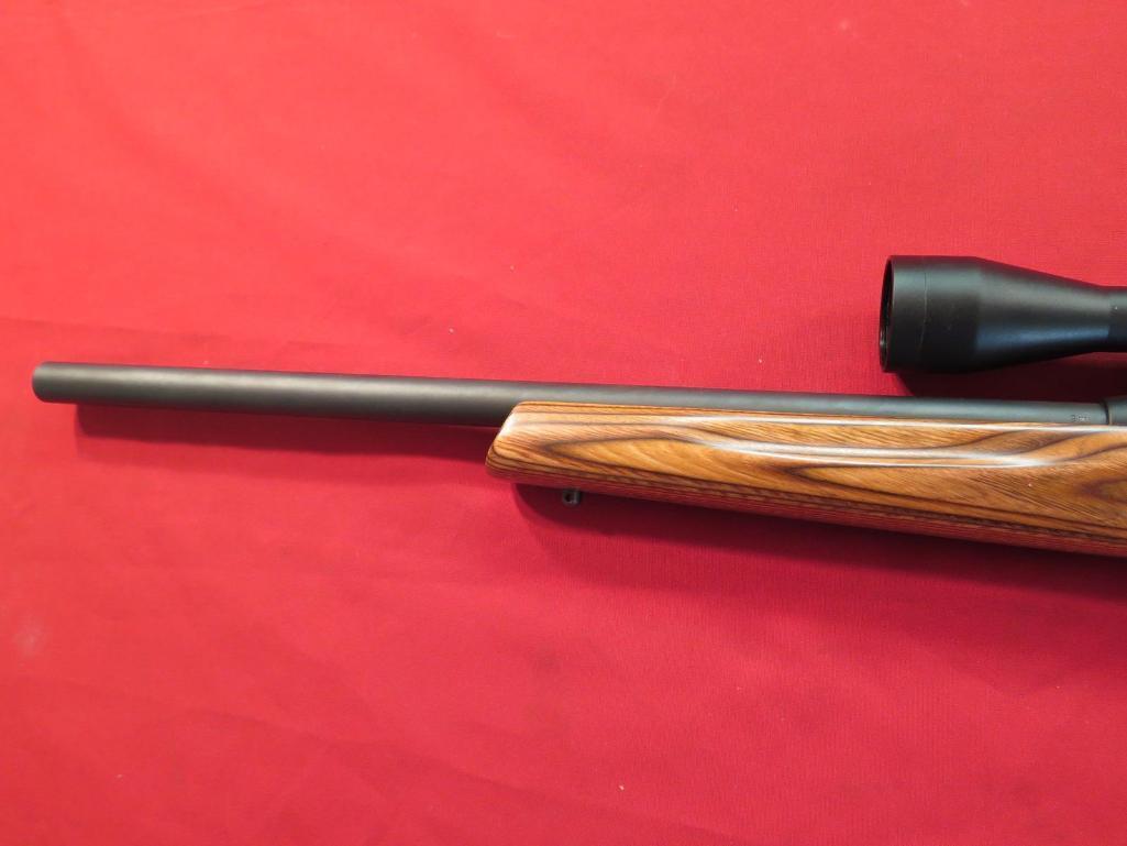 Remington 597 Magnum .22Mag semi auto with laminated stock, 3x9 Gander Mtn