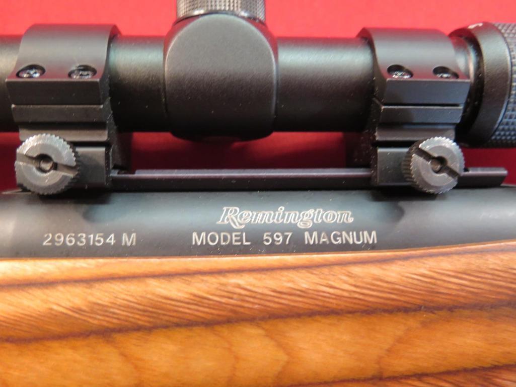 Remington 597 Magnum .22Mag semi auto with laminated stock, 3x9 Gander Mtn