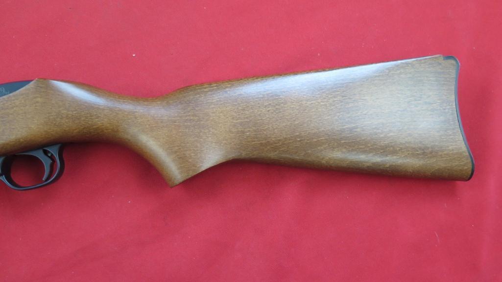 Ruger 10/22 .22LR semi auto rifle, 40th Anniversary Carbine, tag#1359