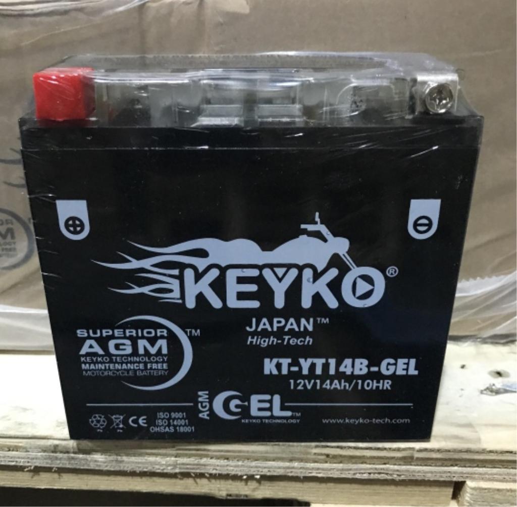 LOT CONSISTING OF 176 KEYKO BATTERIES