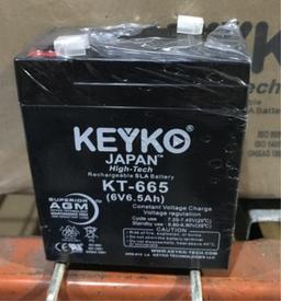 LOT CONSISTING OF 60 KEYKO BATTERIES