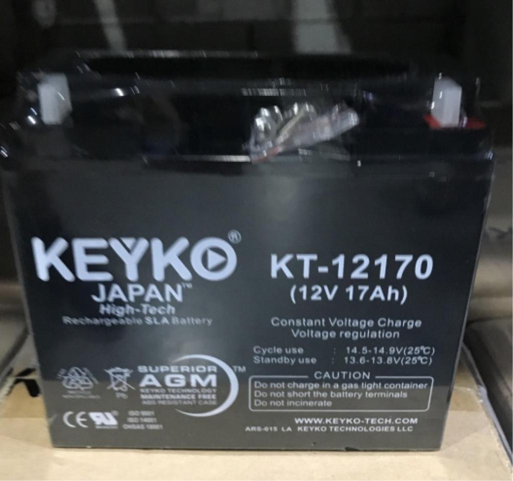 LOT CONSISTING OF 84 KEYKO BATTERIES