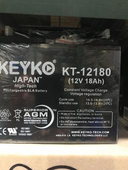 LOT CONSISTING OF 162 KEYKO BATTERIES