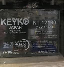 LOT CONSISTING OF 135 KEYKO BATTERIES