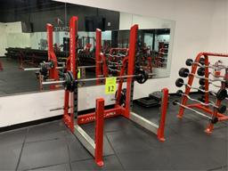 FREEMOTION OLYMPIC SQUAT RACK BENCH MODEL F212-12.1