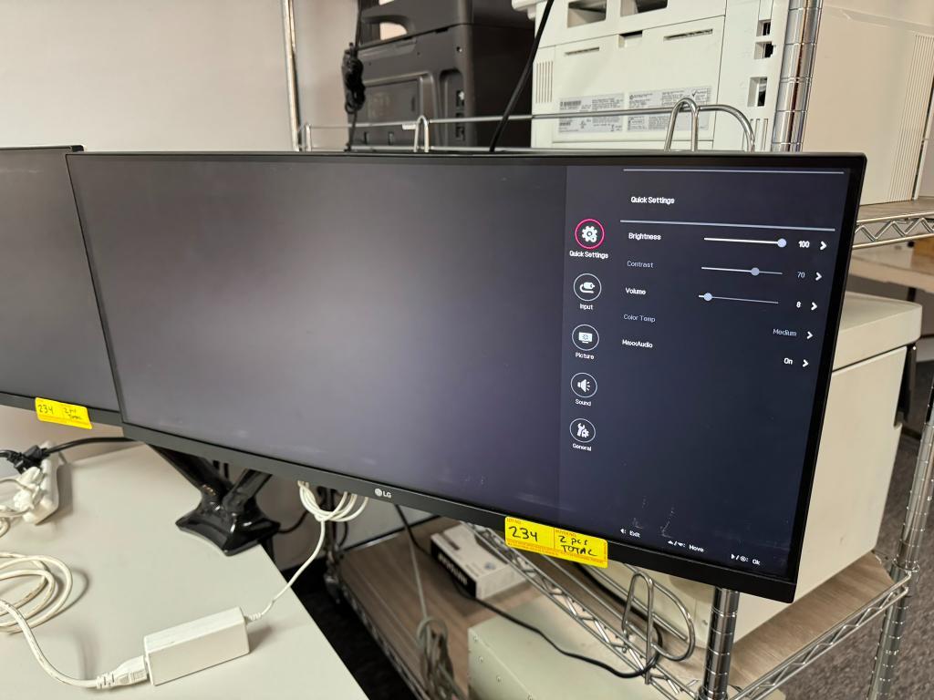 DUAL LG 29" MONITORS ON DESK MOUNT