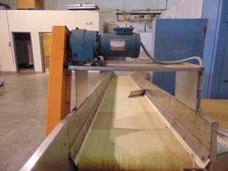 Conveyor System: Stainless and Latex