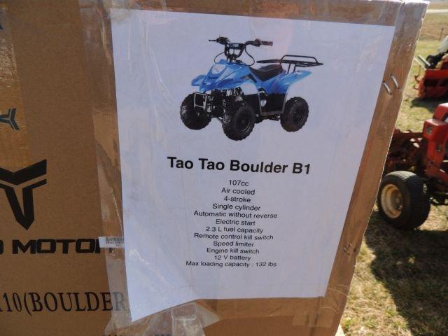 new Tao ATA125d 107cc youth ATV