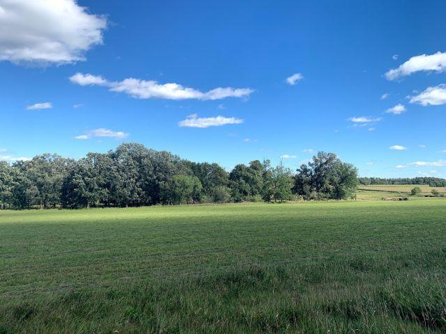 Parcel 1: Homestead, Barn, and 32.61 +/- acres located at 16146 470th St Ve