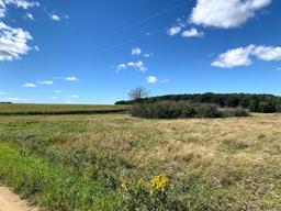 Parcel 2: This parcel includes 45.46 +/- acres of farm and hunting land wit