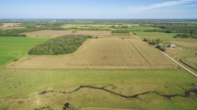 Parcel 2: This parcel includes 45.46 +/- acres of farm and hunting land wit