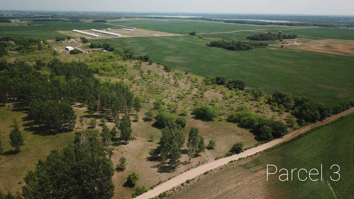 18.79 +/- Acres Of Land Near Dent, MN