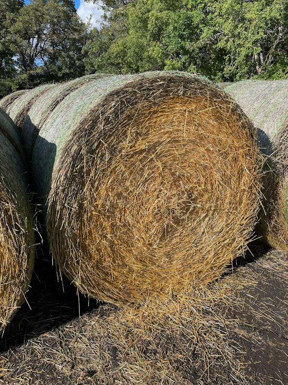 Net Wrap Straw Bales (H)