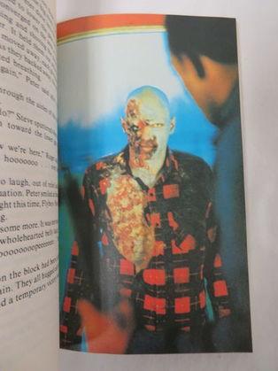 Rare (1978) Dawn Of The Dead Paperback