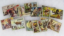 Lot (20 Rare 1950 Topps "Bring em Back Alive" Jungle Non-Sports Cards