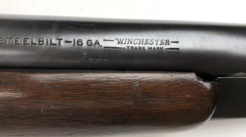 WINCHESTER 37 RED LETTER PIGTAIL 1ST YEAR 16 GA.