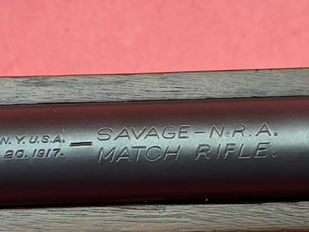 Savage 19 .22LR Rifle