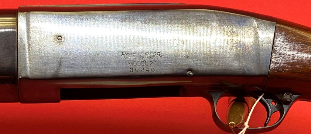 Remington 29 12 ga Shotgun